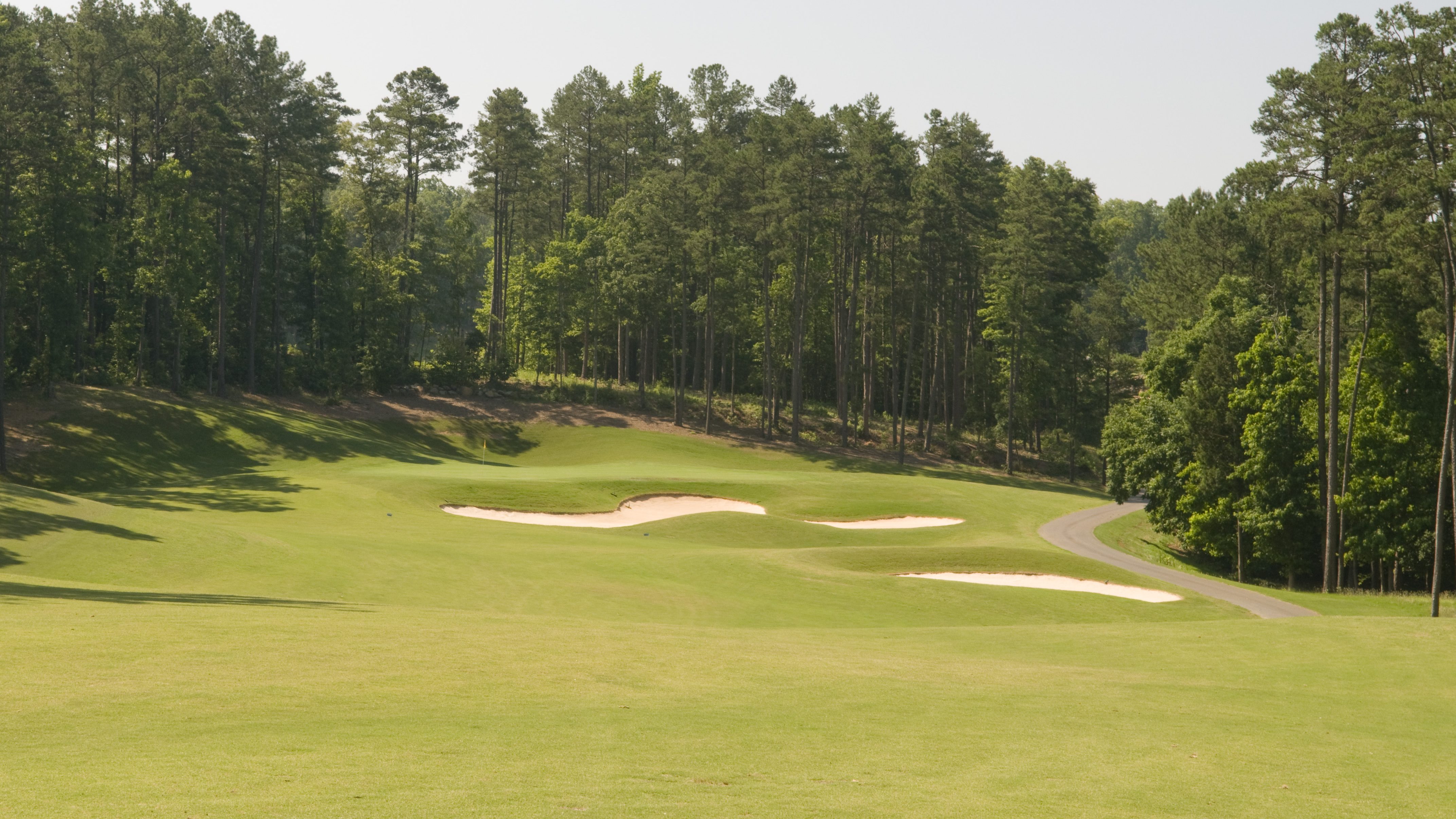 fairway with bunker down surrounded by trees and bunkers