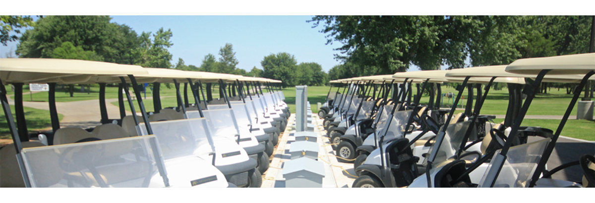 long view of golf carts