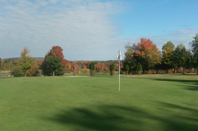 view of golf course green with flagpole and autumnal trees