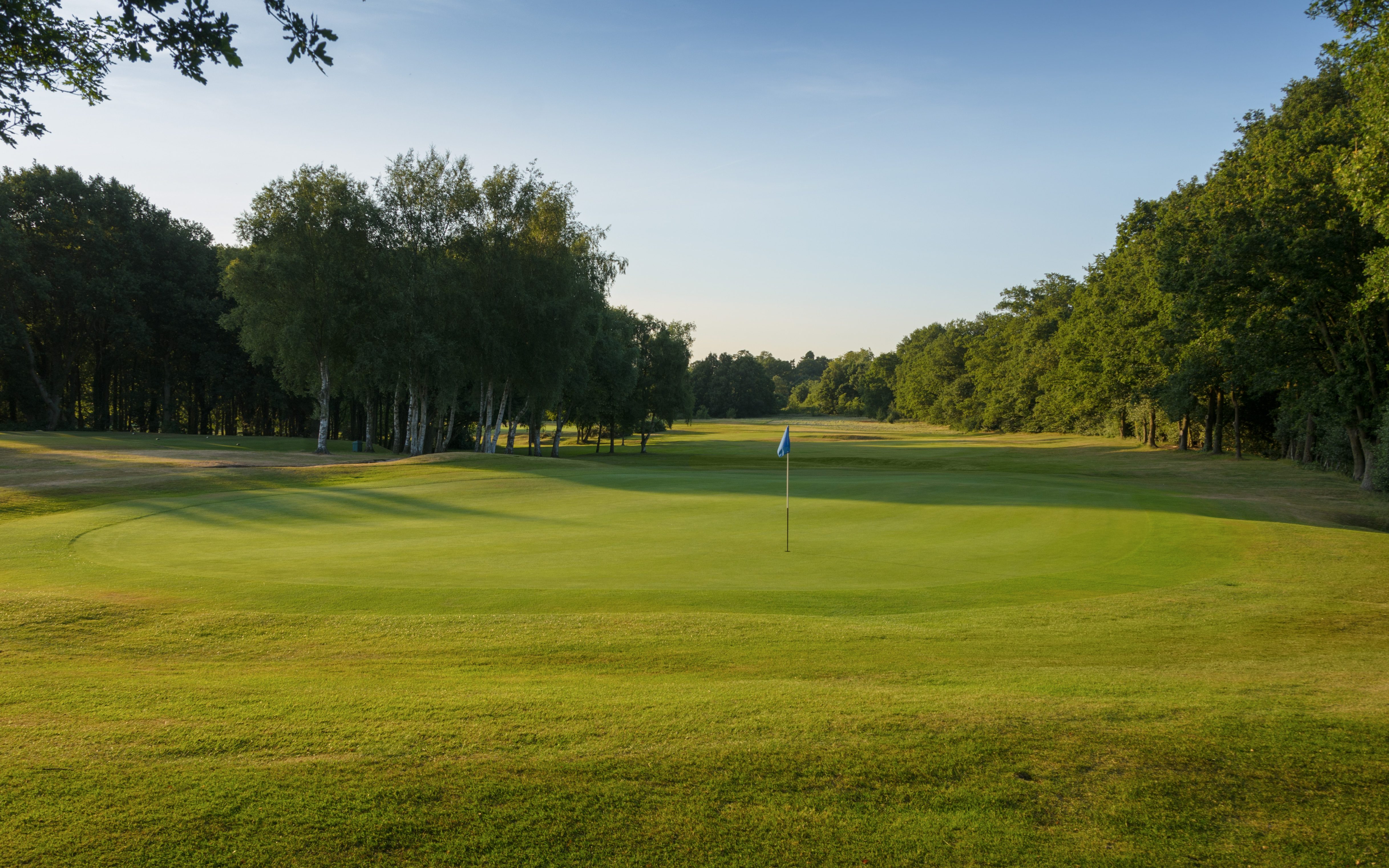 hole 15
