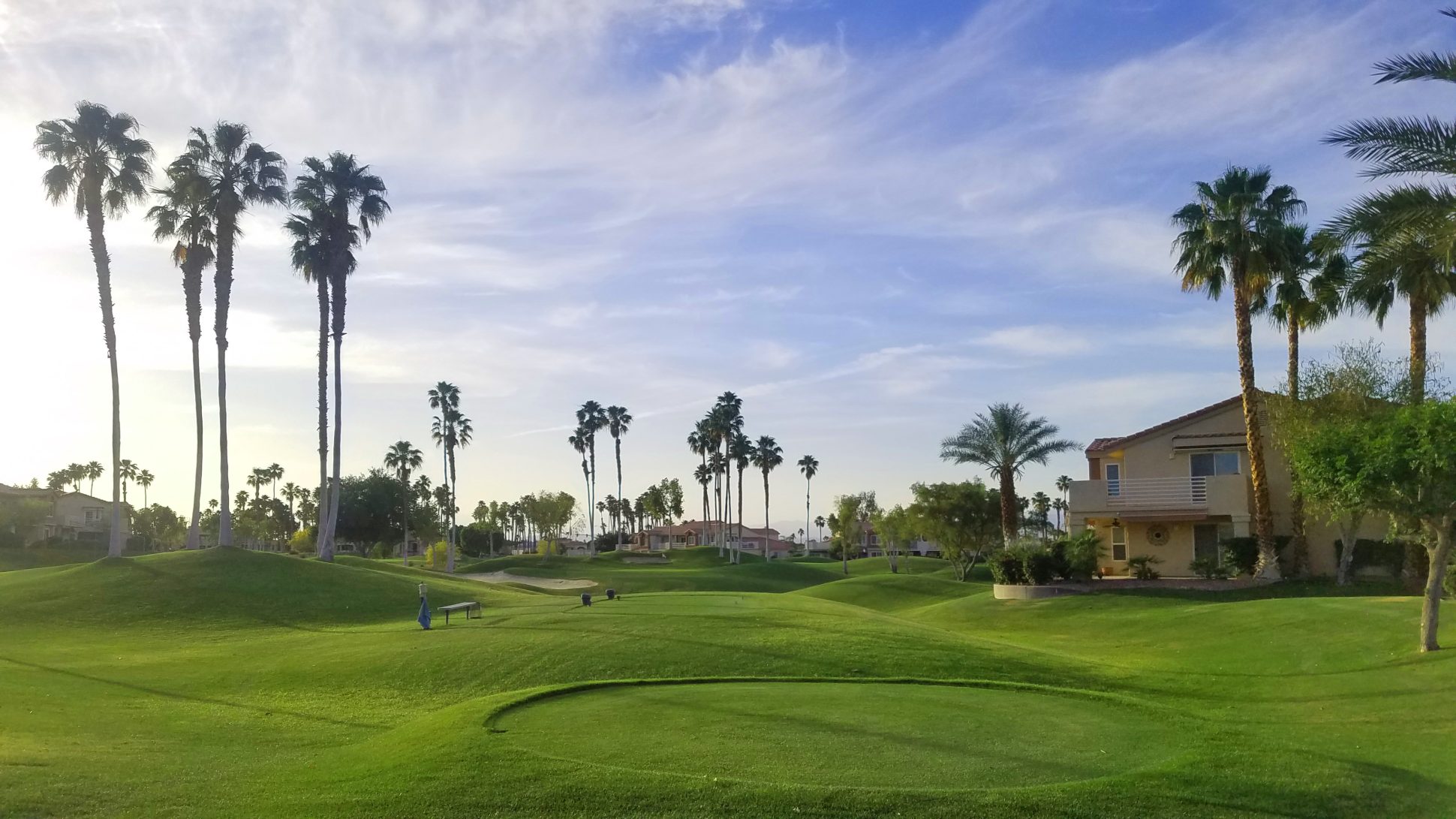 view of golf course green