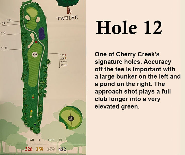 hole 12 overview