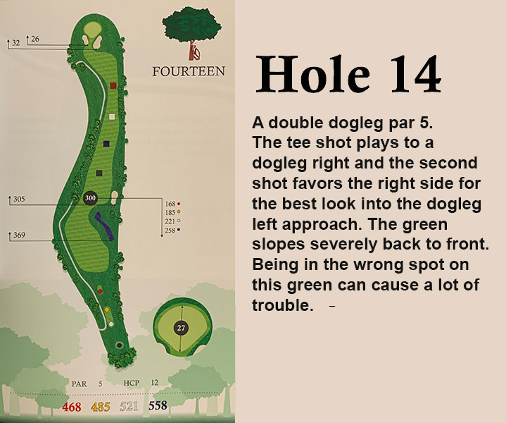 hole 14 overview