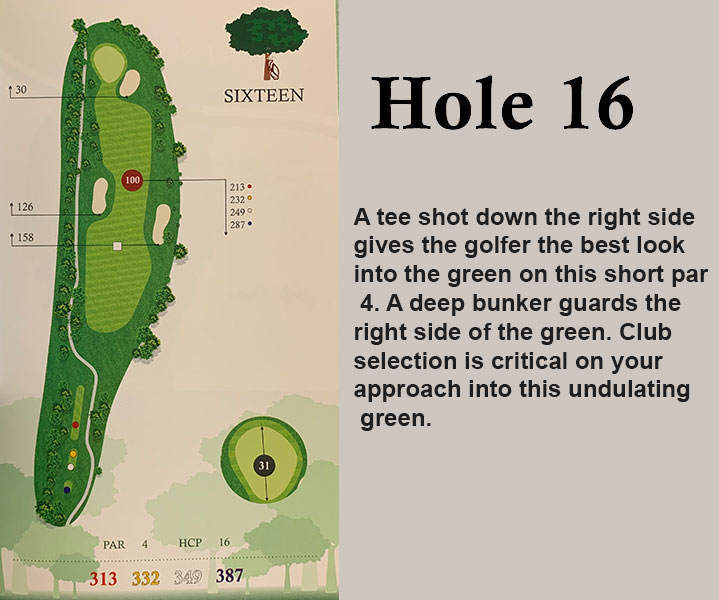 hole 16 overview