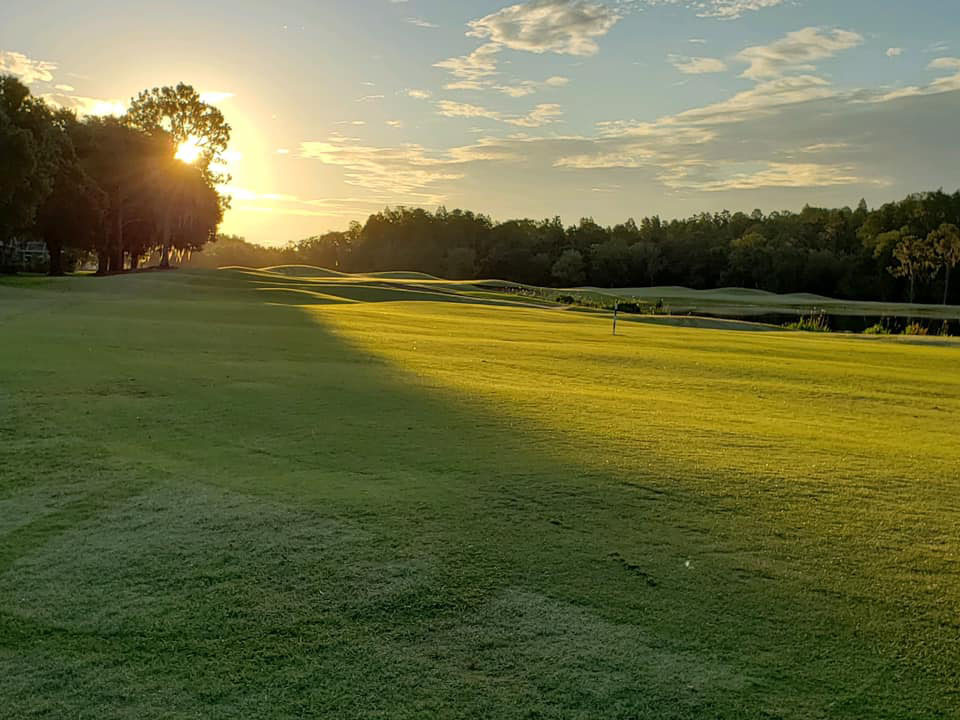Course greens at sunset 