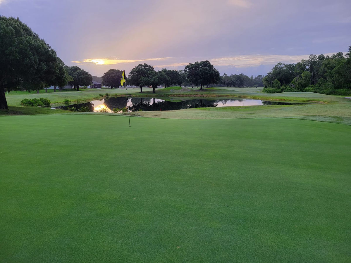 Course greens at sunset 