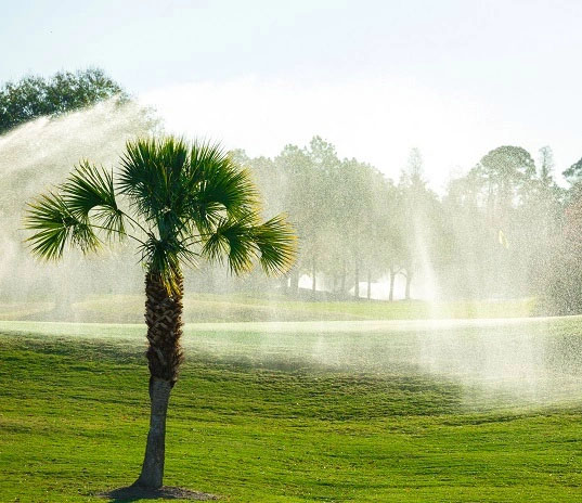 Course greens with sprinklers in the background