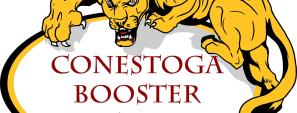 Booster image