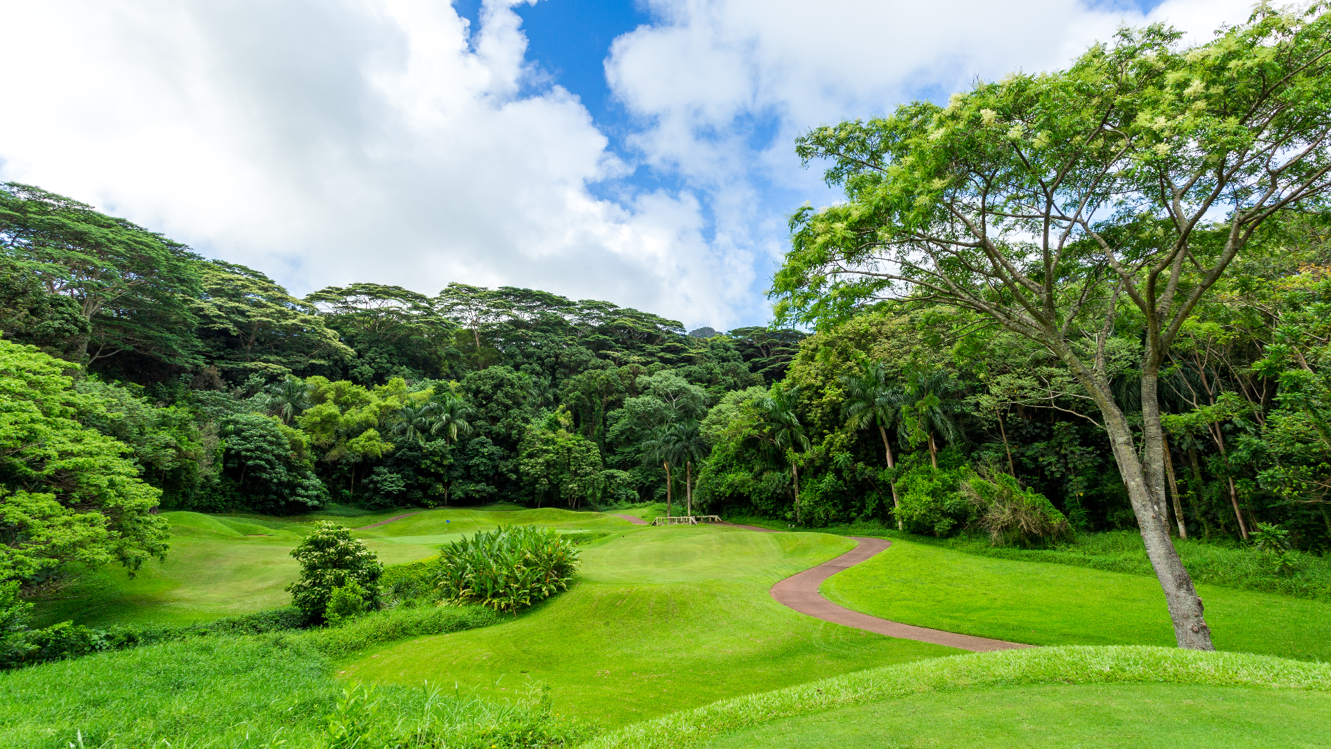 Golf course fairway