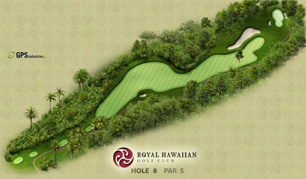 Hole 8, Par 5