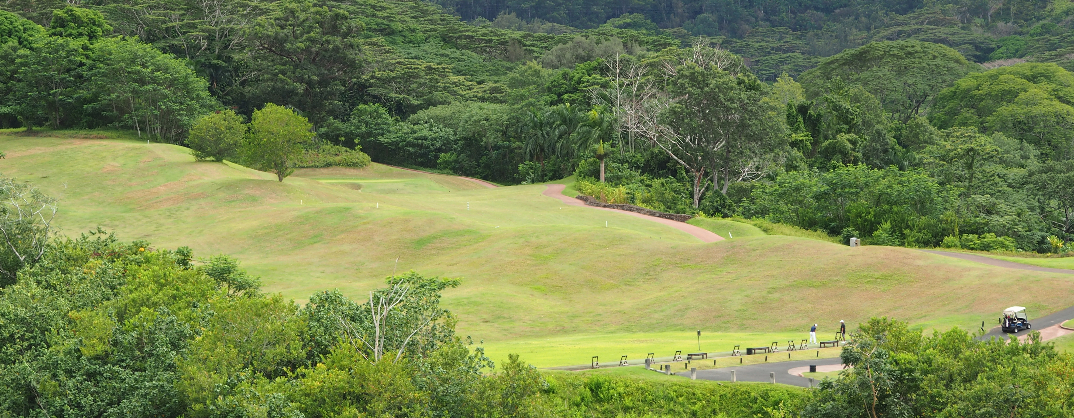 view of golf course