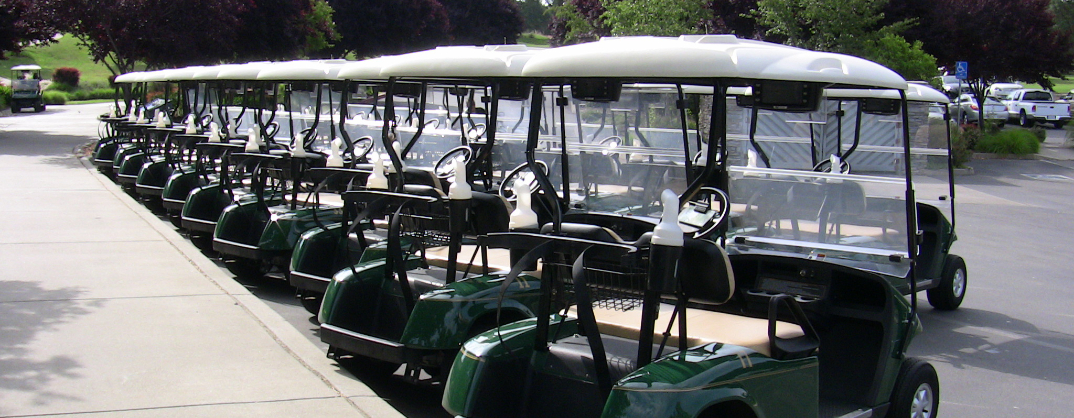 View of golf carts