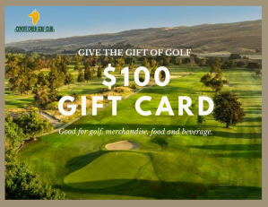 $100 gift card