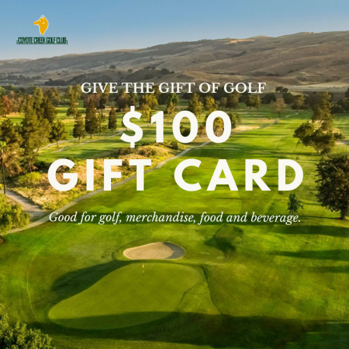 $100 gift card