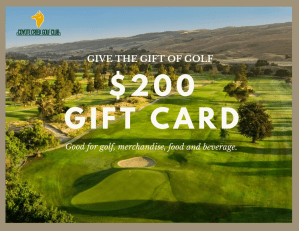$200 gift card