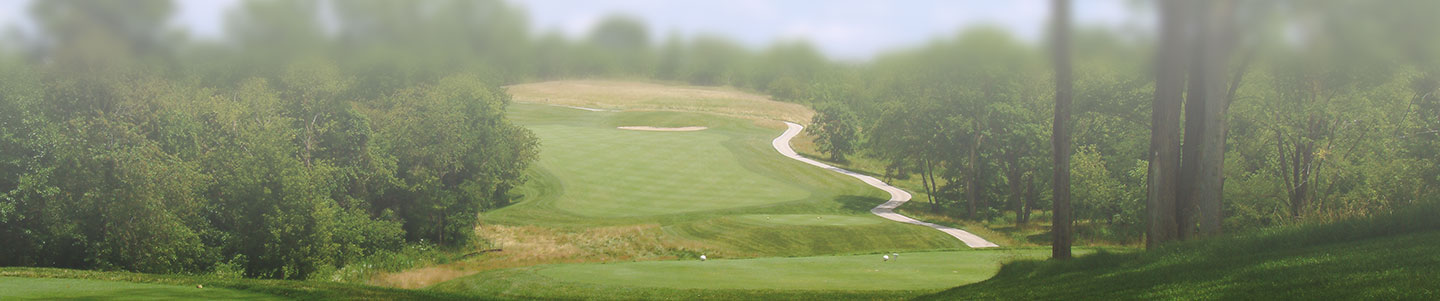 Image of golf ball on tee on grass.