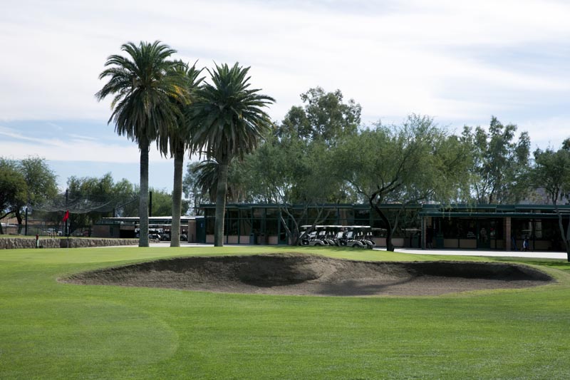 palm trees next to bunker