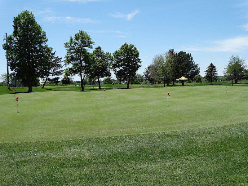 flags on golf course