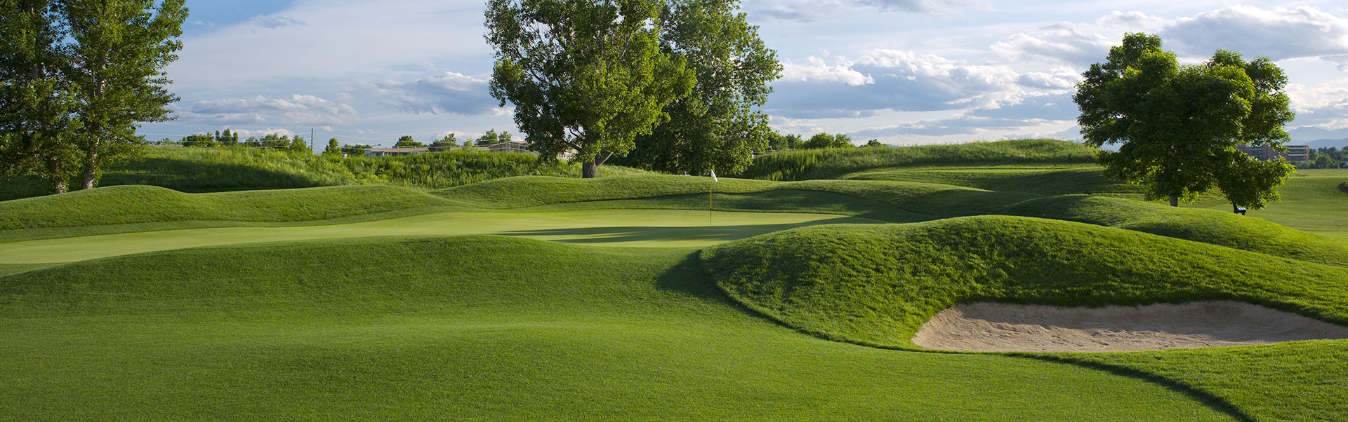 golf course with trees