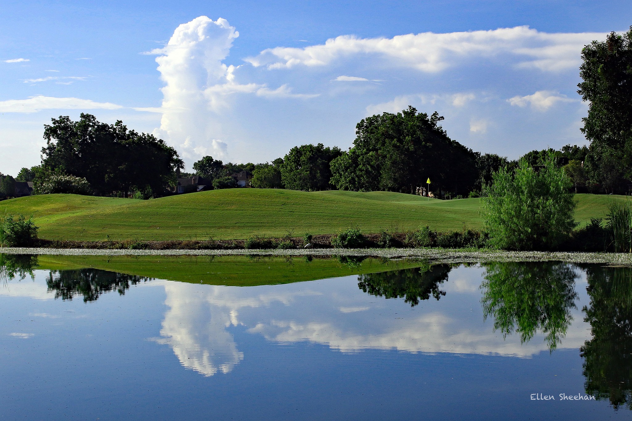 Image of golf ball on tee on grass.
