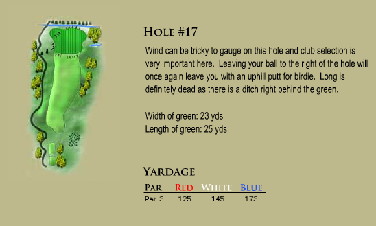 course-h17