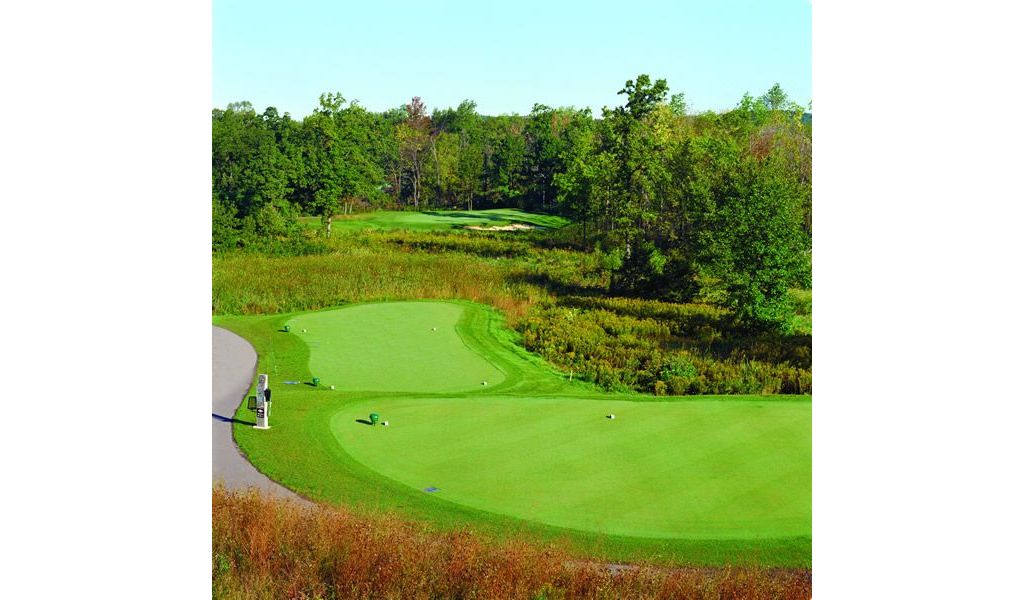 Course Gallery Fieldstone Golf Club