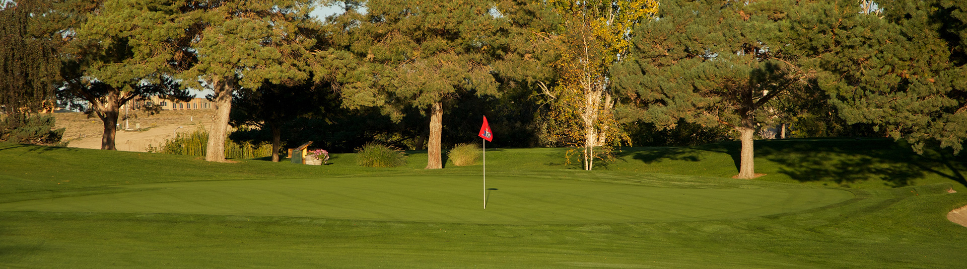 Senior Scramble - Country Lake Golf Club