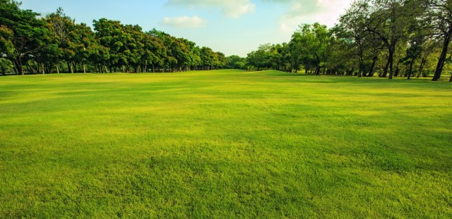 View of Columbus Park Fairway greens
