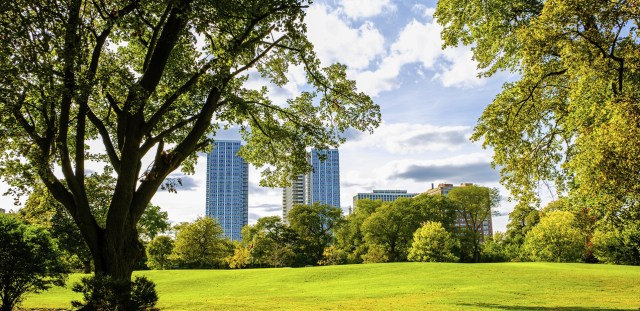 Park view of Chicago skyscrapers