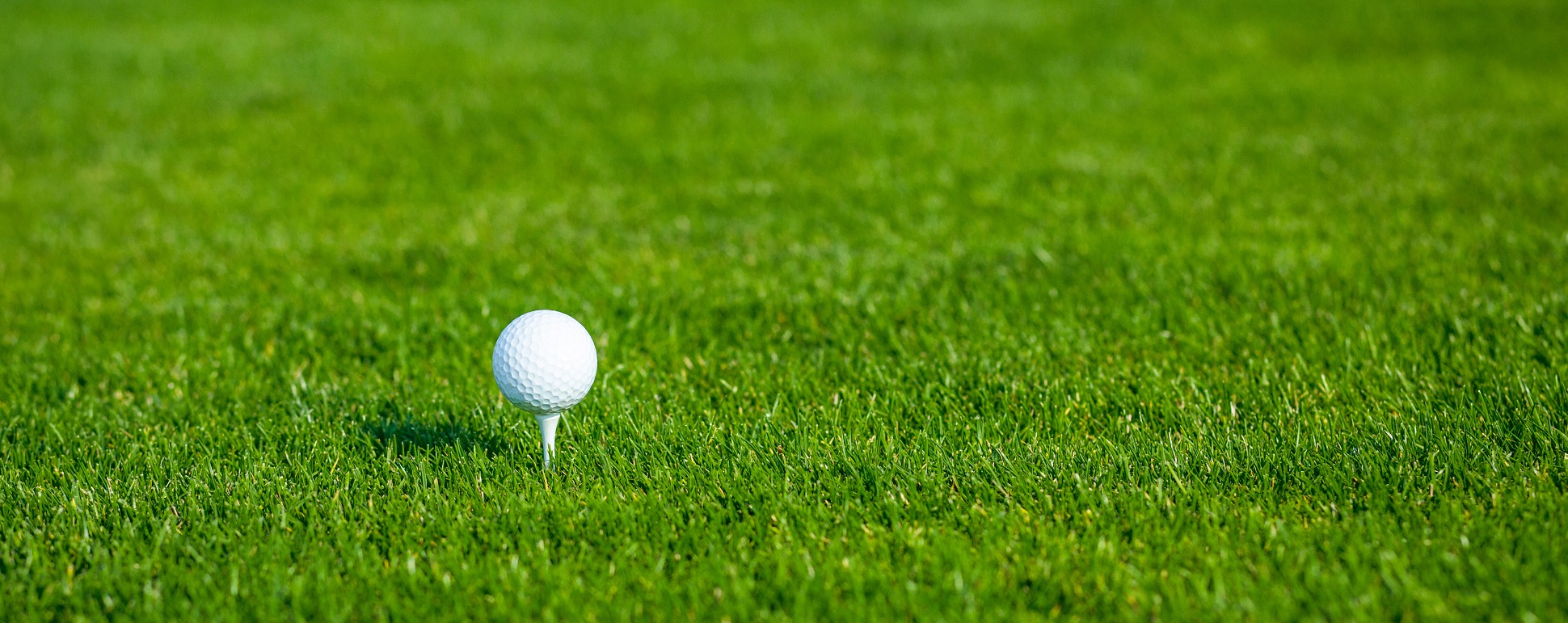 Image of golf greens.