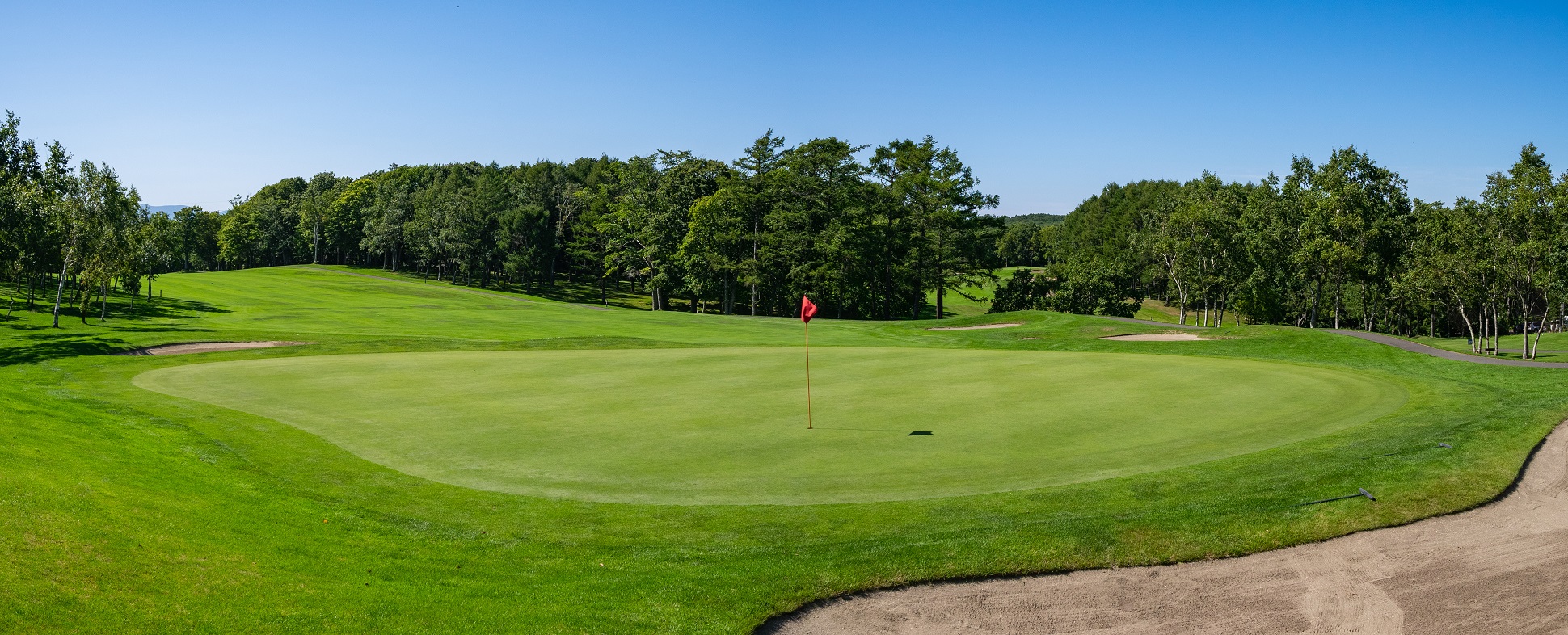 Image of golf ball on tee on grass.