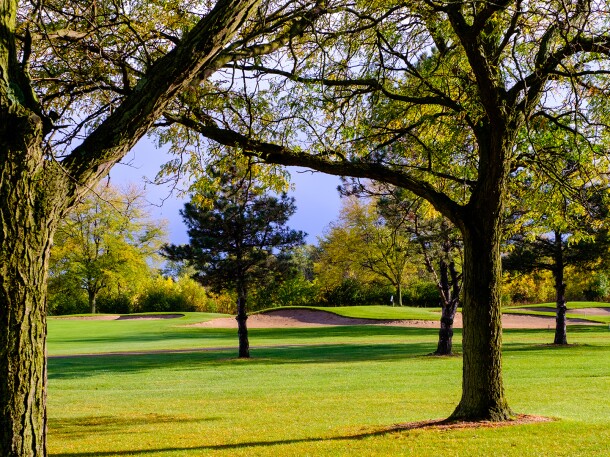 Golf course green with trees