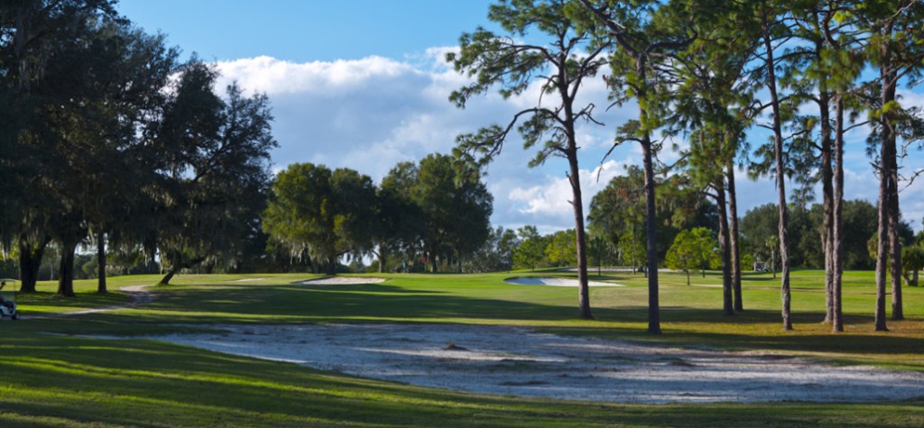 View of the course at Palatka