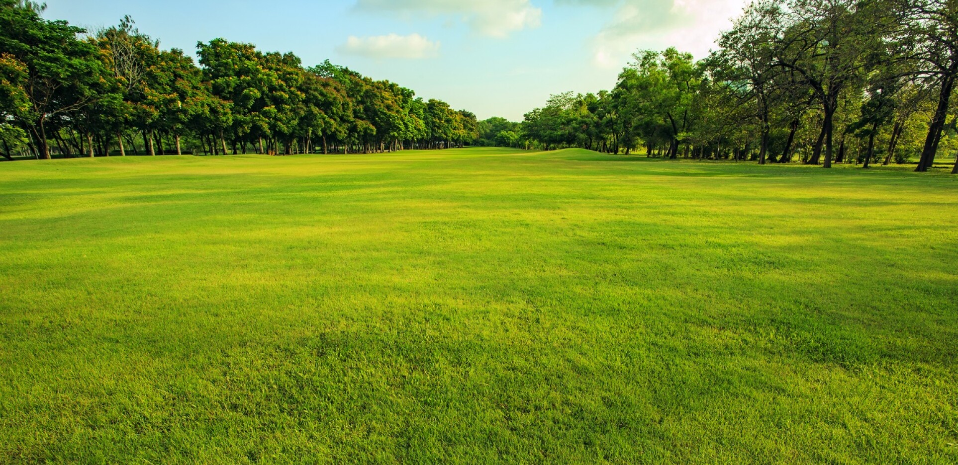 Golf course fairway