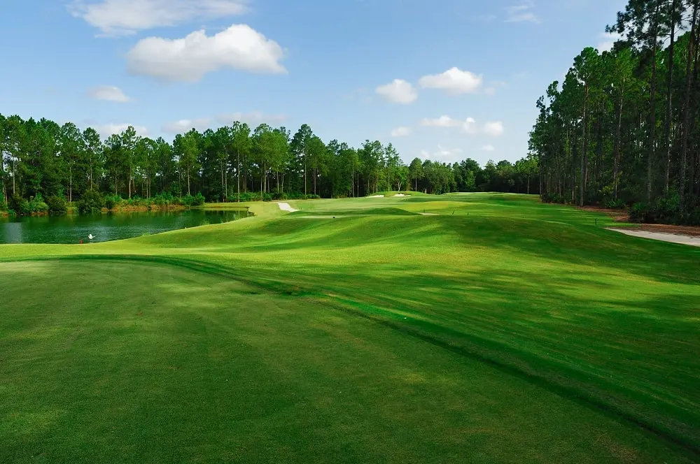 A shot from the Tee to the green that is flanked by a conifer treeline.